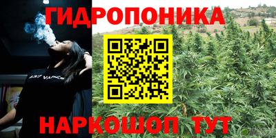 МДПВ Кинель