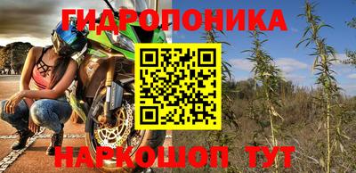 кокс Кингисепп