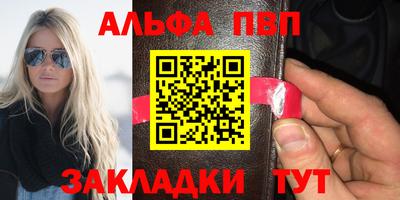 кокс Кингисепп