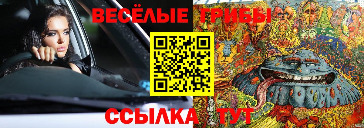 Псилоцибиновые грибы Psilocybe Фурманов