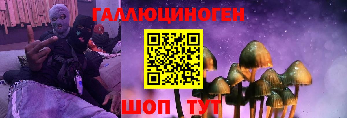 купить наркотик  Псилоцибиновые грибы ЛСД  Вход с VPN  Фурманов 